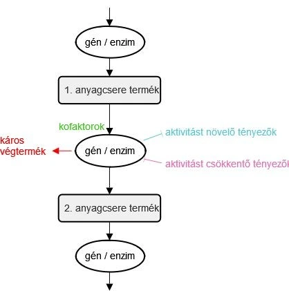 1_abra_az_enzimek_mukodesehez_hasznalt_szimbolumrendszer